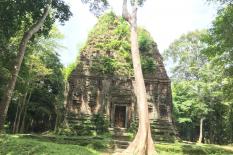 Private two days from Phnom Penh to Siem Reap Road Tours - sambor-prek-kuk-temple.jpg