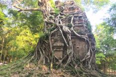 Private day tour from Siem Reap to Phnom Penh - sambor-prekuk-temple.jpg