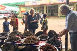 Phnom Penh to Siem Reap Road Sightseeing - skoun-market.jpg